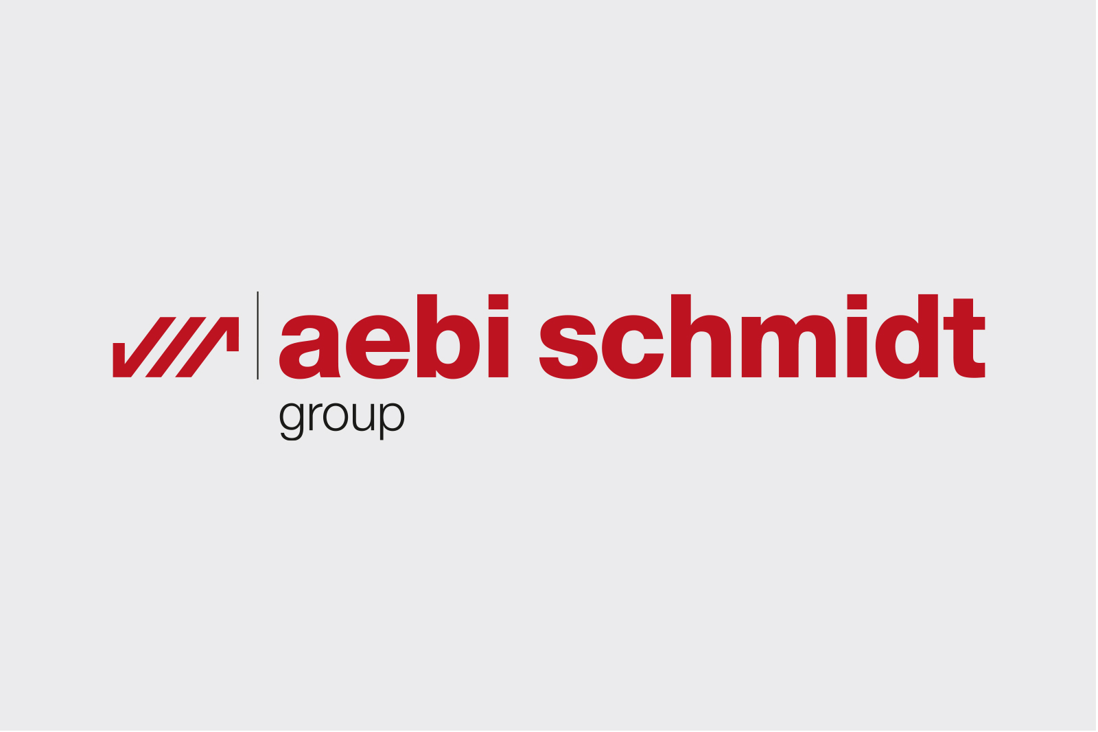 Logo Aebi Schmidt